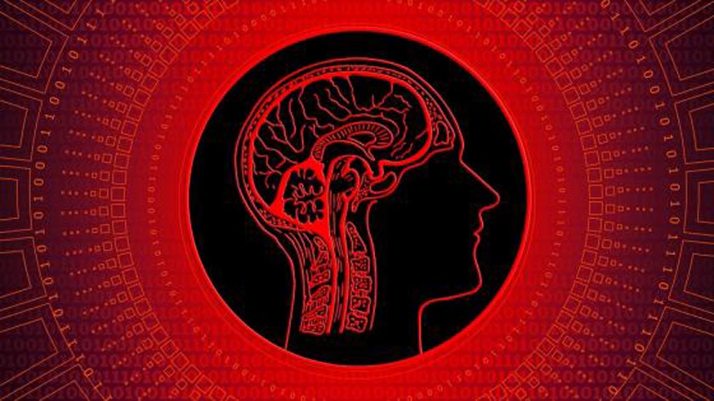 图片:格尔伯特与IBM合作签署了一项排他性协议沃森健康和发展人工智能(AI)的软件解决方案,帮助检测,诊断和治疗肝癌(照片由放射学业务)。