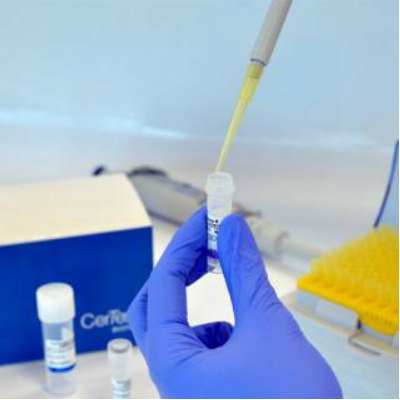 SARS-CoV-2 Antigen Detection Plate