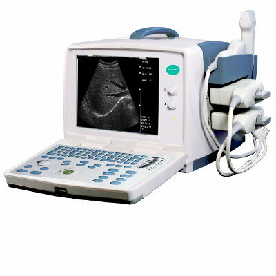 Portable B/W Ultrasound Scanner