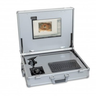 Portable Endoscopy System