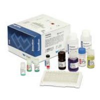 Hepatitis C ELISA Test | bioelisa HCV 4.0 | Medical Equipment and ...