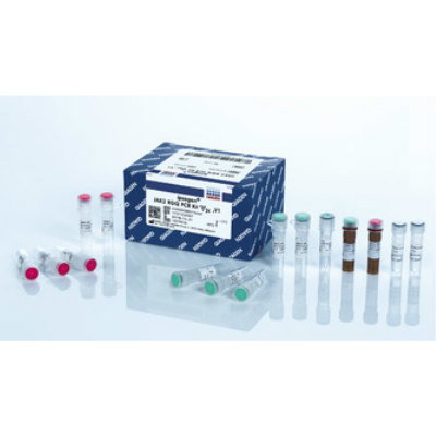 PCR Assay | ipsogen JAK2 RGQ PCR Kit | Medical Equipment and devices ...