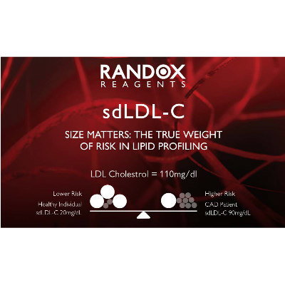 sdLDL-C生物化学分析