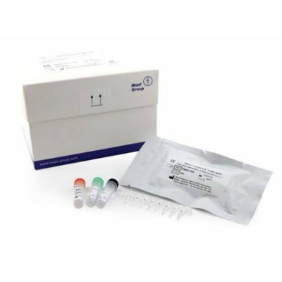 Carbapenemase Detection Kit