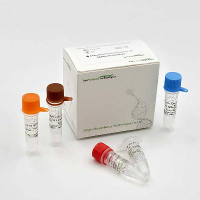 Influenza A and B Viruses Real Time PCR Kit