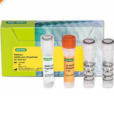 SARS-COV-2FlA/BRT-PCR解析
